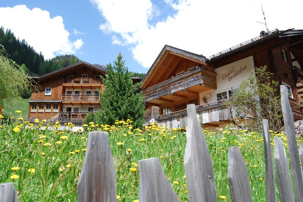 Appartamenti Chalet Orchidea Canazei Ngoại thất bức ảnh