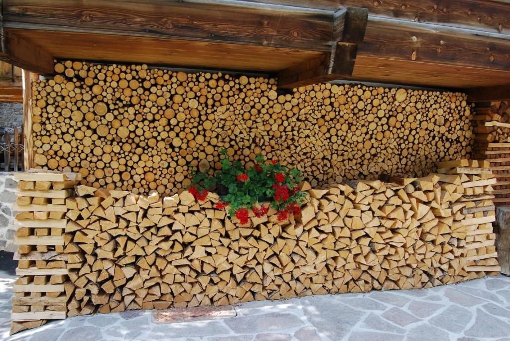 Appartamenti Chalet Orchidea Canazei Ngoại thất bức ảnh