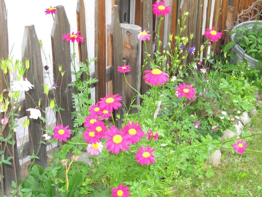 Appartamenti Chalet Orchidea Canazei Ngoại thất bức ảnh