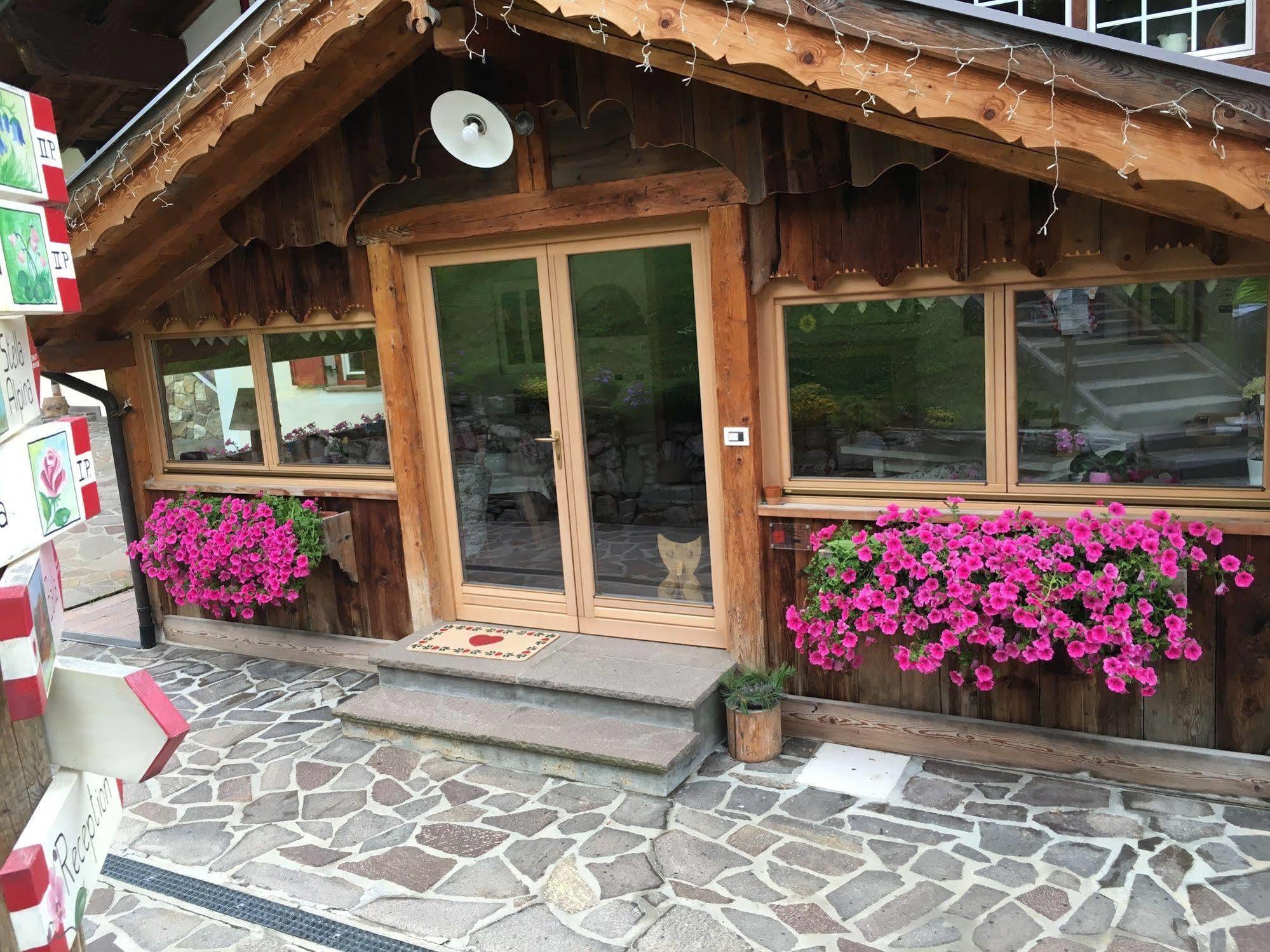 Appartamenti Chalet Orchidea Canazei Ngoại thất bức ảnh