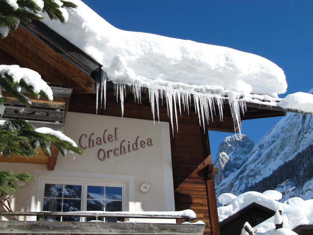 Appartamenti Chalet Orchidea Canazei Ngoại thất bức ảnh